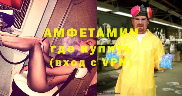 сатива Абинск