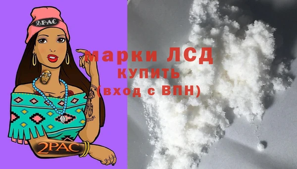 сатива Абинск