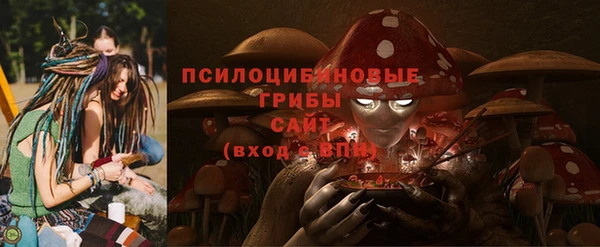 сатива Абинск
