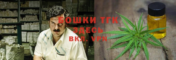 сатива Абинск