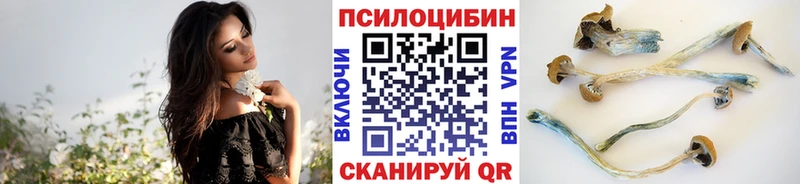 МЕГА ONION Белый Галлюциногенные грибы MAGIC MUSHROOMS
